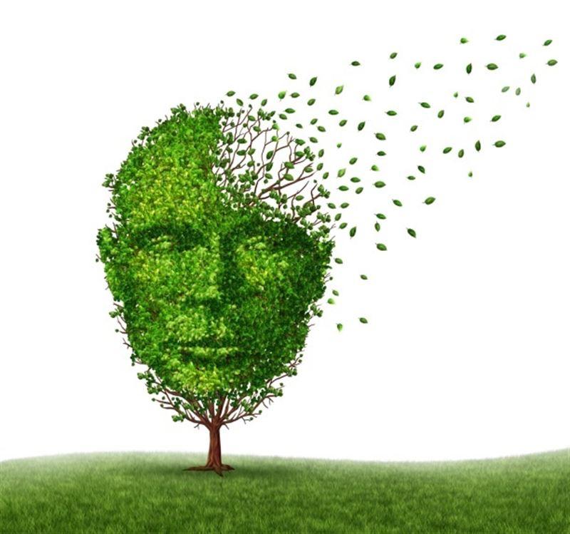 sintomas alzheimer tratamiento CEDAEN RESIDENCIA DE ANCIANOS sintomas alzheimer tratamiento CEDAEN RESIDENCIA DE ANCIANOS